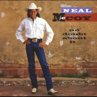 Neal McCoy album cover for No Doubt About It featuring the hit song Wink
